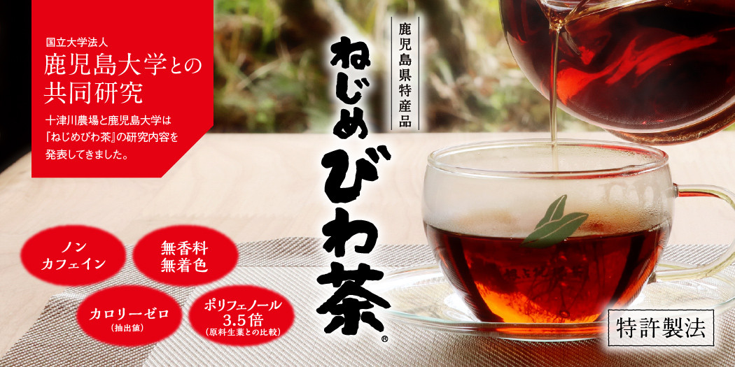 鹿児島県特産品『ねじめびわ茶』