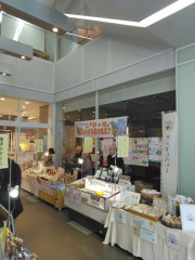 IMG_20260123_110902.jpg