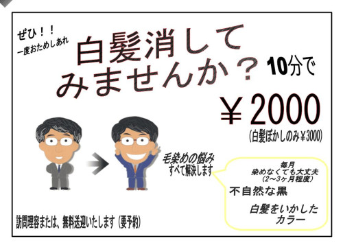 ぼかしチラシ.jpg