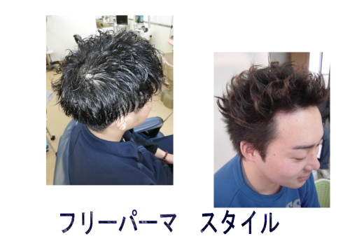 フリーパーマ.png