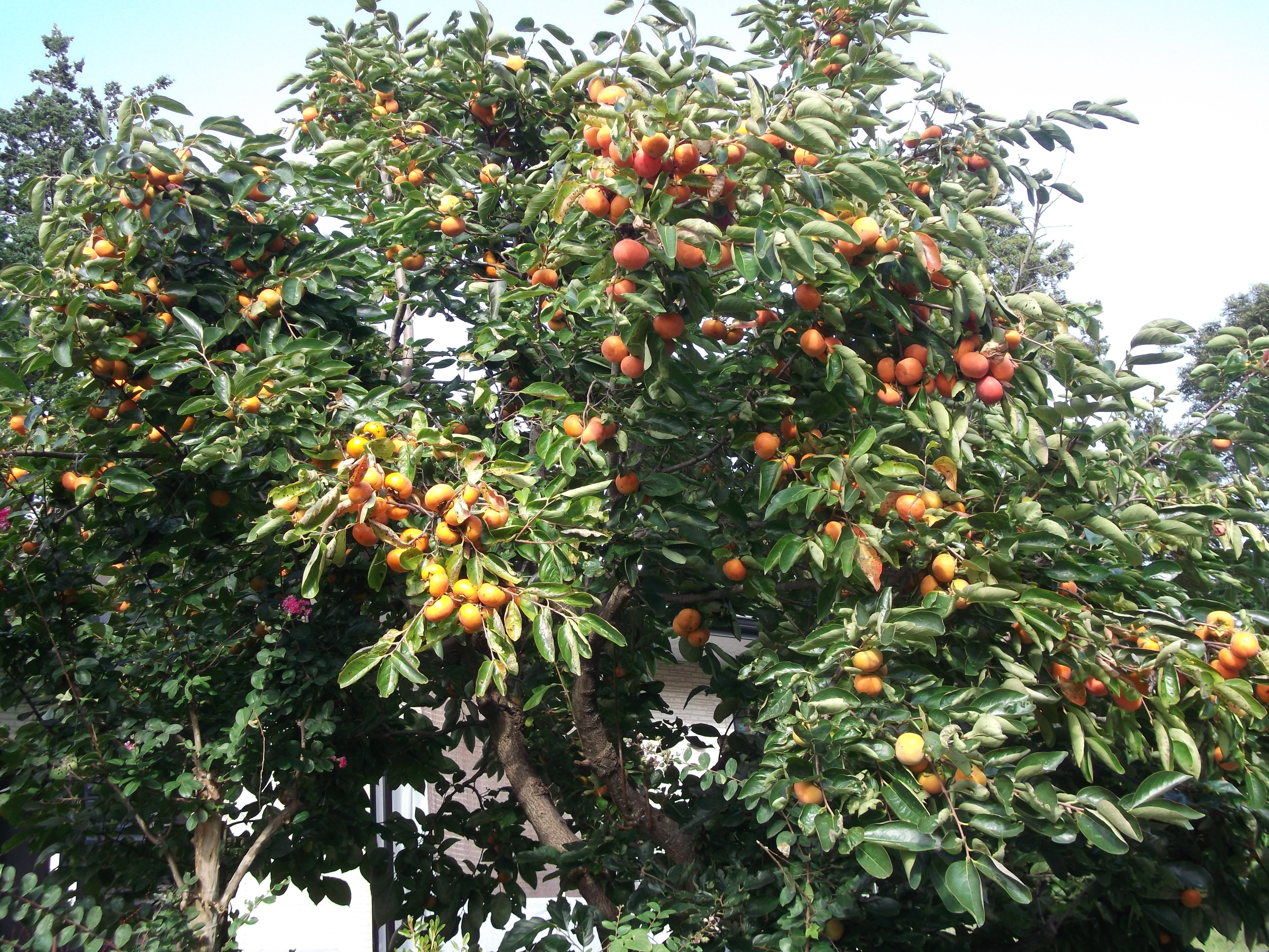 「疲れない眼鏡」で、読書の秋を楽しもう