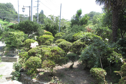 かど屋庭園1.JPG