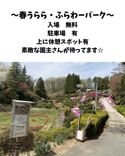 春うらら3枚目.jpg