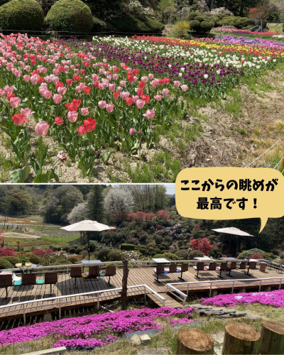 春うらら4枚目.jpg