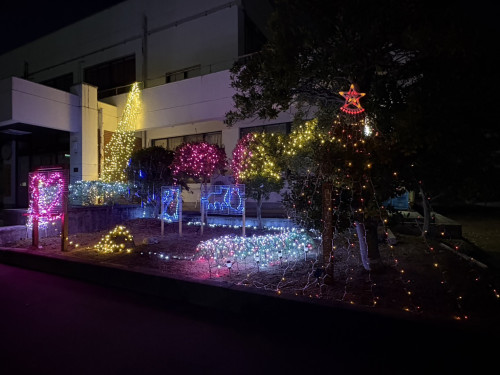 イルミネーションのご案内