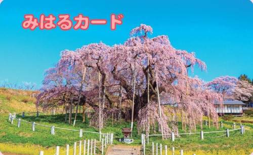 みはるカード_800_490.jpg