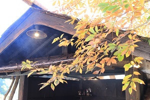 9/21㈭は臨時休業させて頂きます