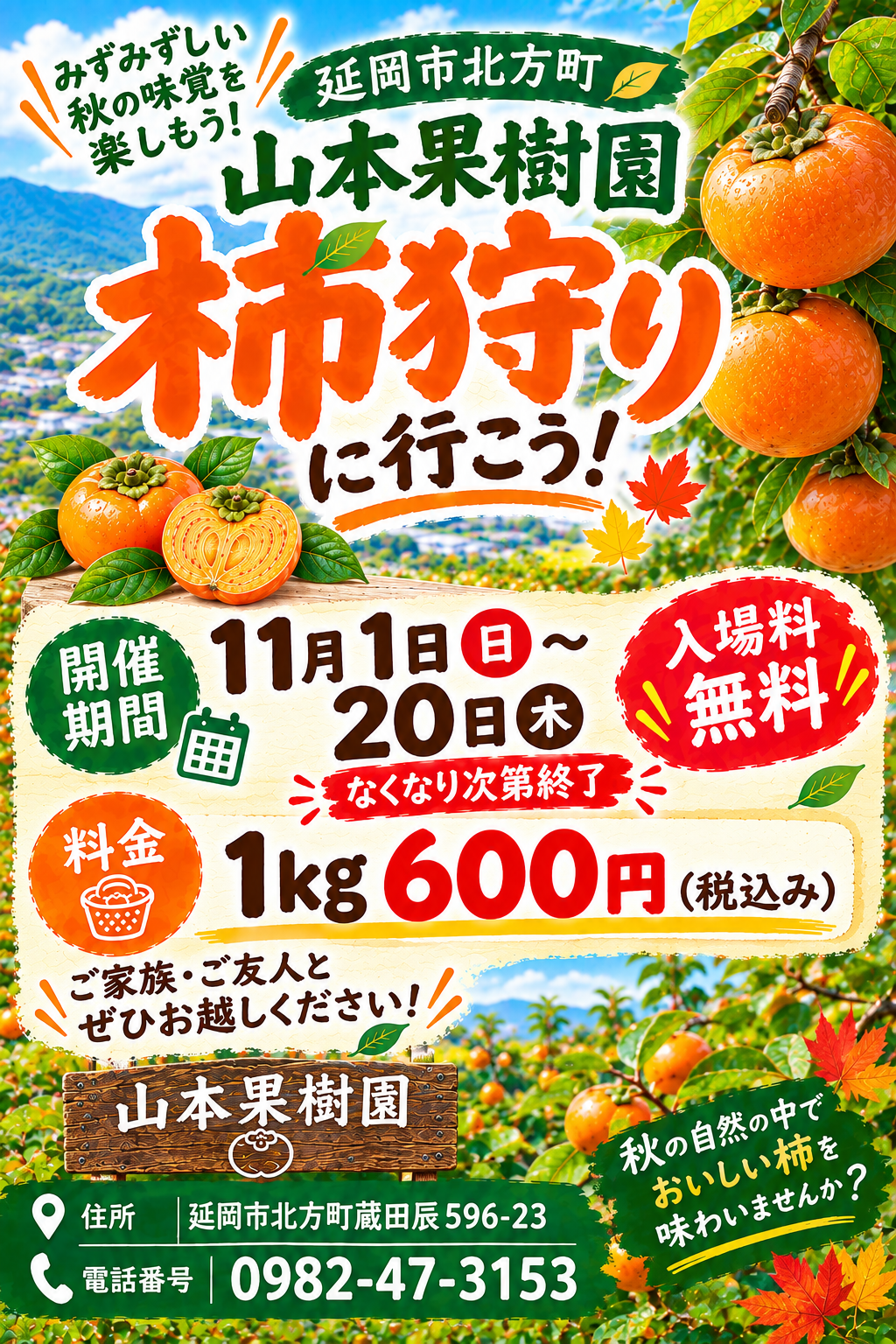 今年の柿狩りが始まります！！
