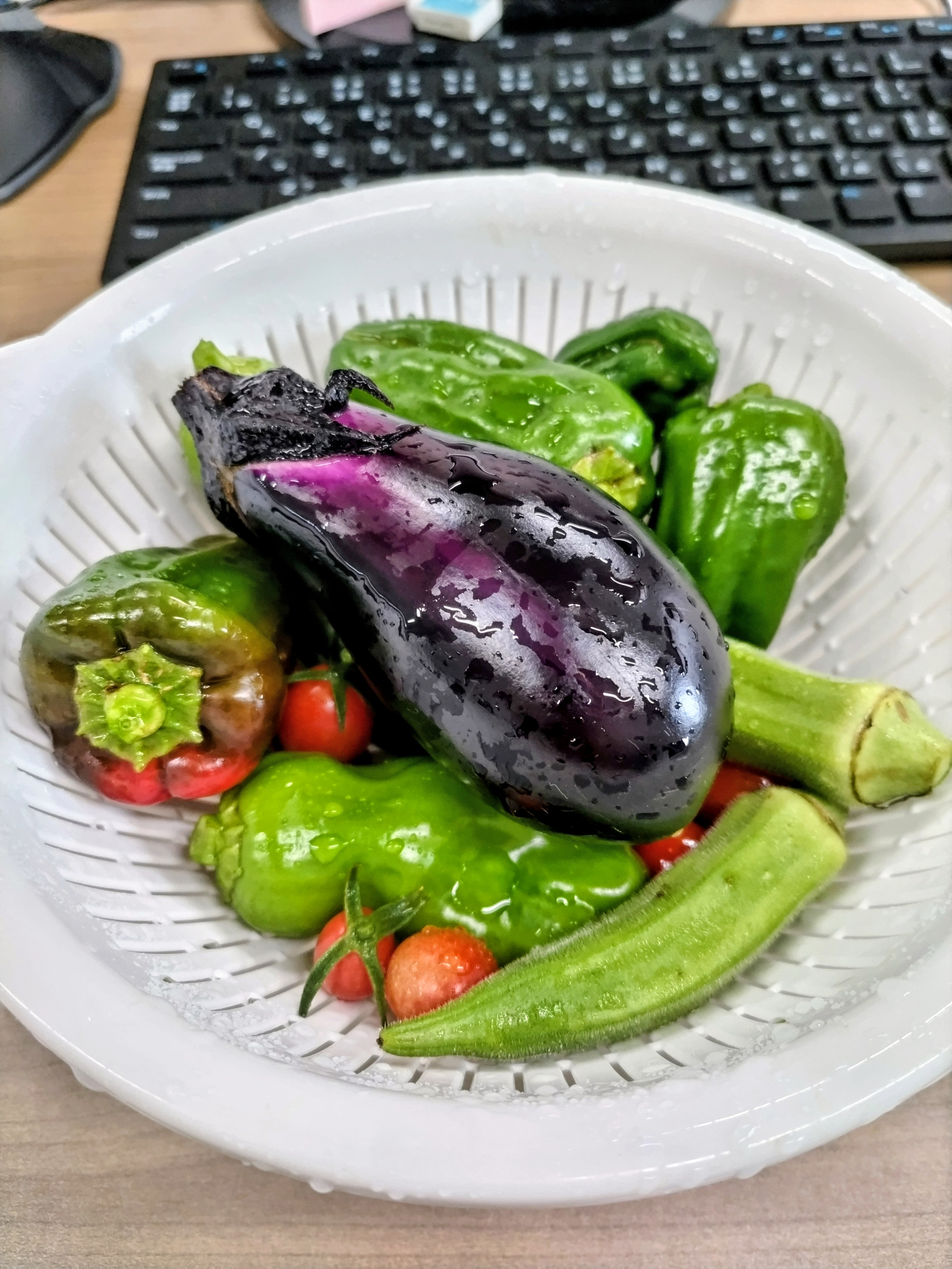 20260914秋野菜.JPG