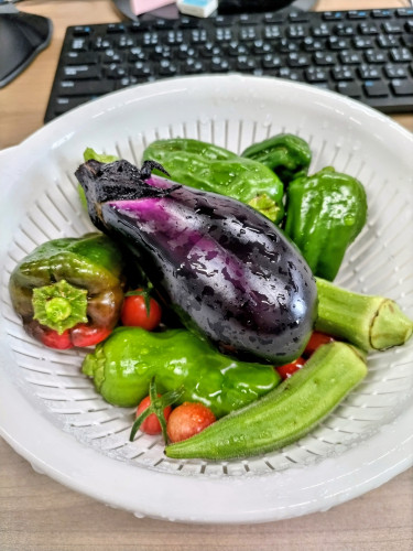 食欲の秋🍆
