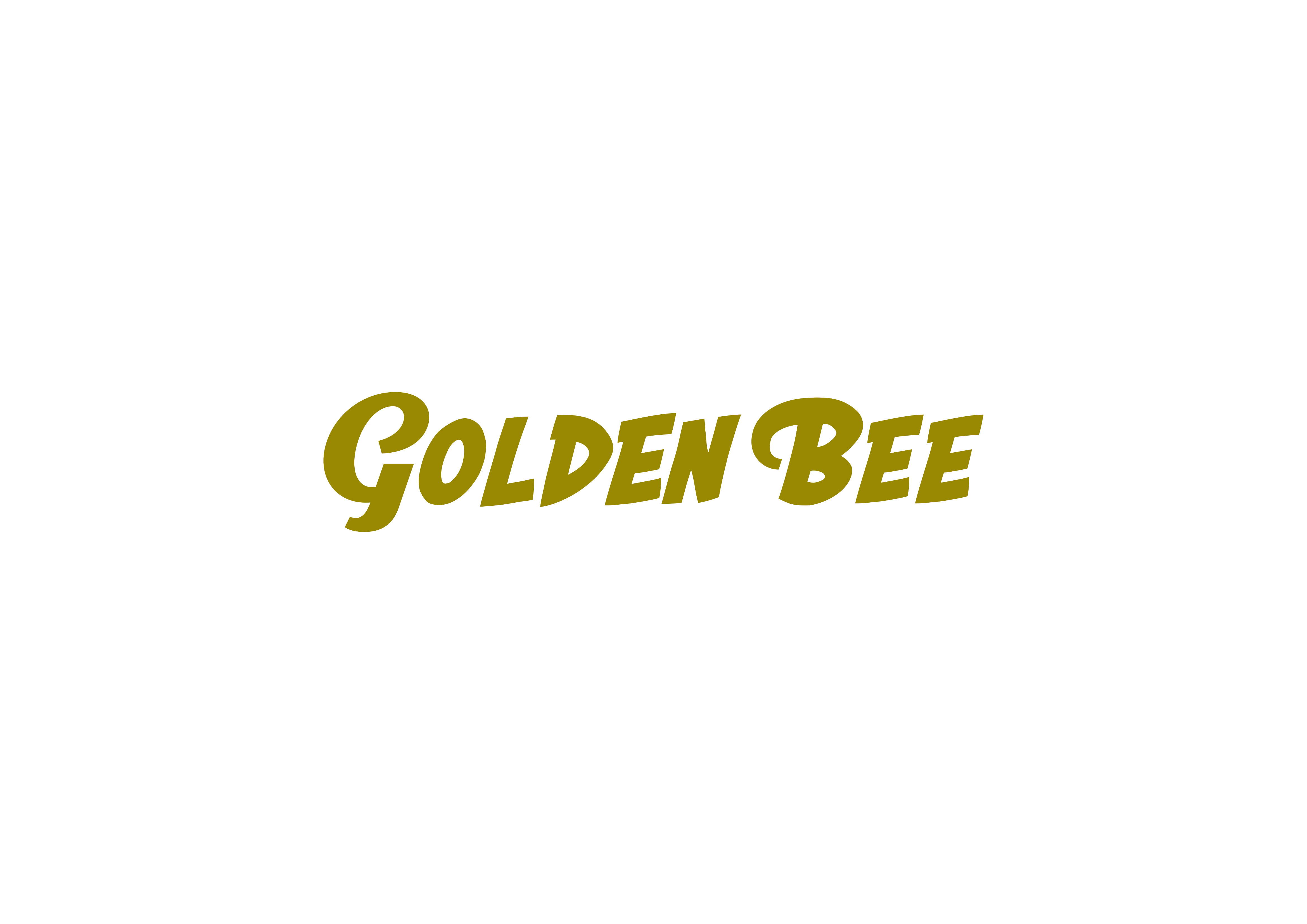 レディースドローンチーム『GOLDENBEE』V.I.設計