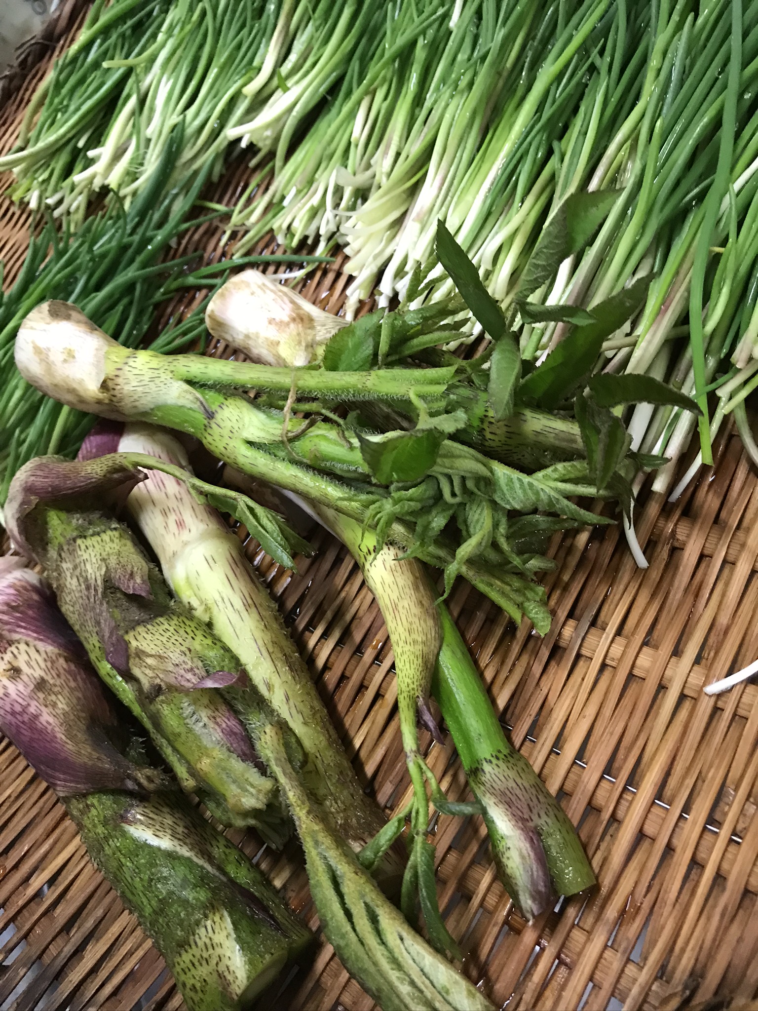 新潟県産＜天然山菜＞続々入荷！