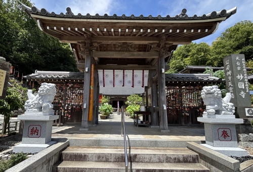 狛犬　妙圓寺.jpg