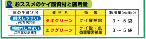スキャン_20260822 (2).jpg