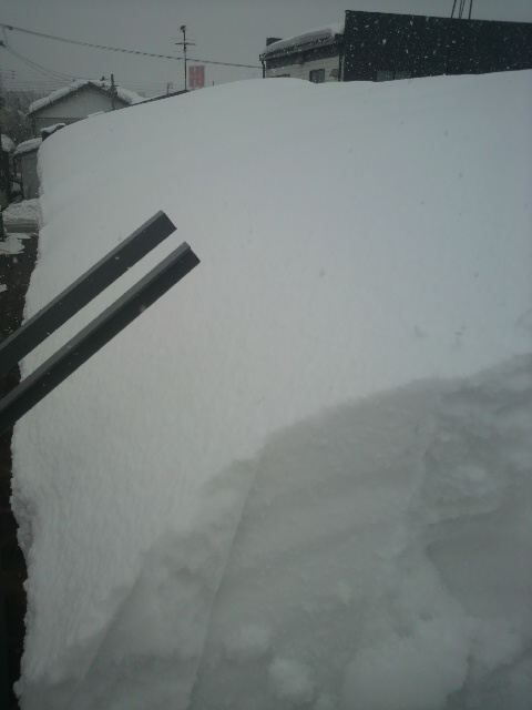 降り積もる雪