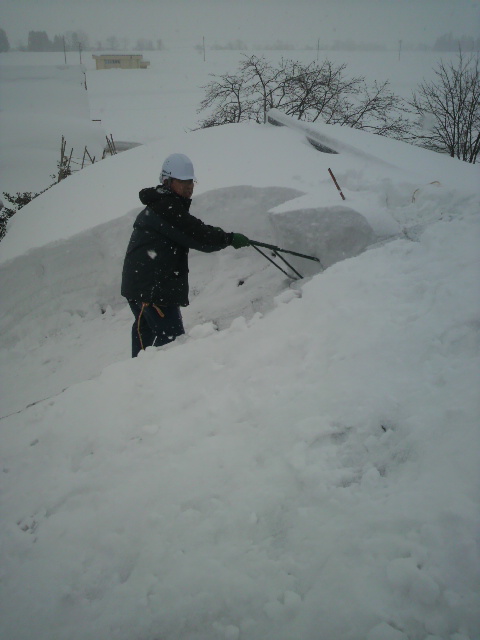 雪掘り中（ヘルメット・命綱着用）