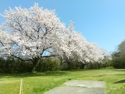 今週末も空きあります!