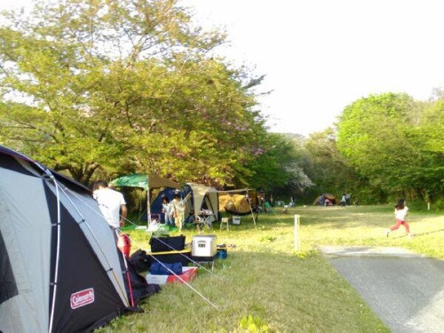 夏休み一部優先予約開始しました！