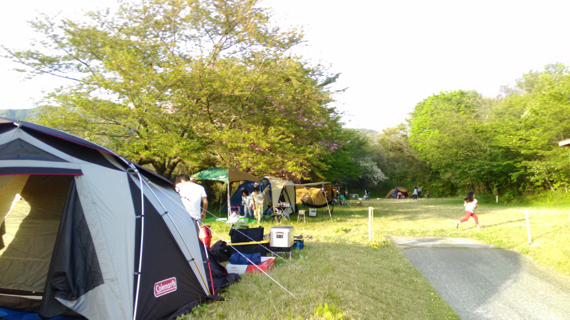 フリーキャンプエリアの夏休みの風景