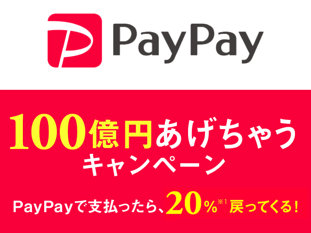 PayPay 2.png