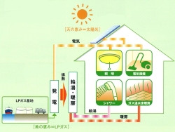 イラスト
