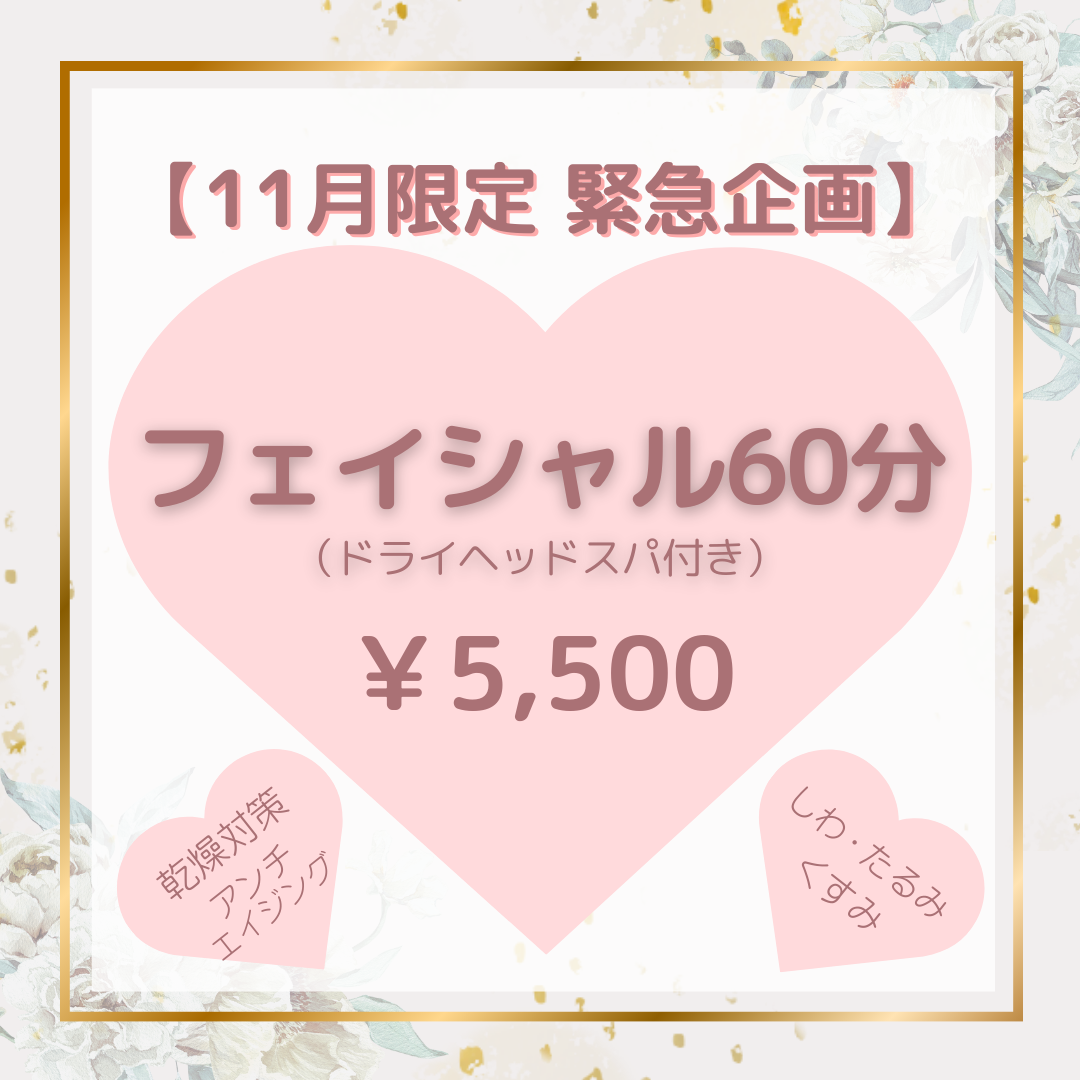 【11月限定 緊急企画】 フェイシャル60分コース（ドライヘッドスパ付き）