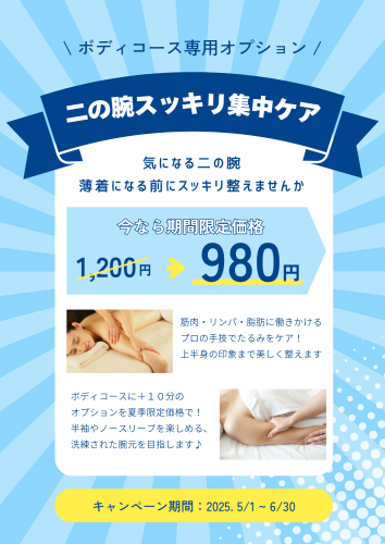 ボディ専用オプション.png
