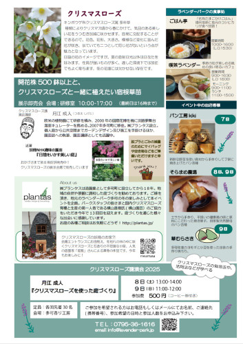 クリスマスローズ展チラシ(ウラ).jpg