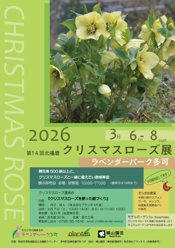 クリスマスローズ展2026チラシ.jpg
