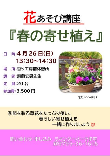 2026春の寄せ植え.jpg