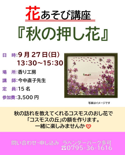 9/27日　花あそび講座『秋のおし花』　参加募集のお知らせ