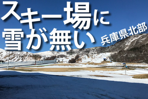 兵庫県但馬の雪国に雪が無い現実を直視する(BLOG)