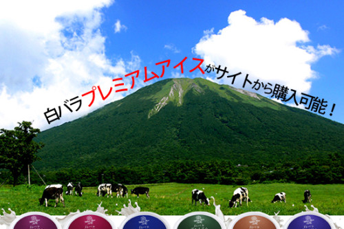 鳥取県 白バラプレミアムアイス６種類の商品がWEBサイトに登場！（BLOG)