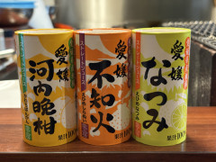 IMG_8714.jpeg