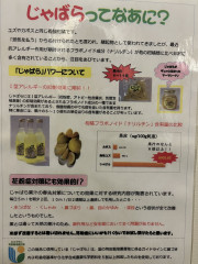 【3月の営業予定についてのお知らせ】