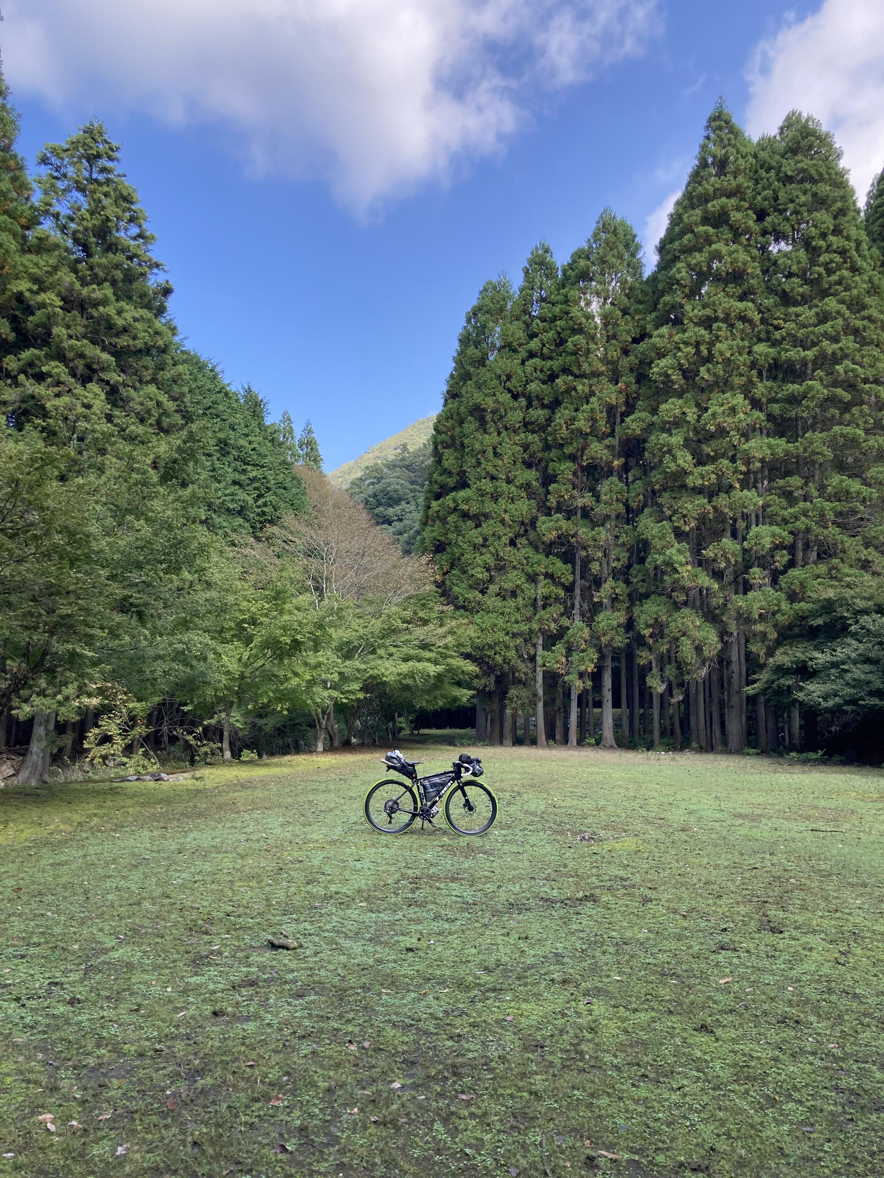 ２０２６年11月のスケジュール