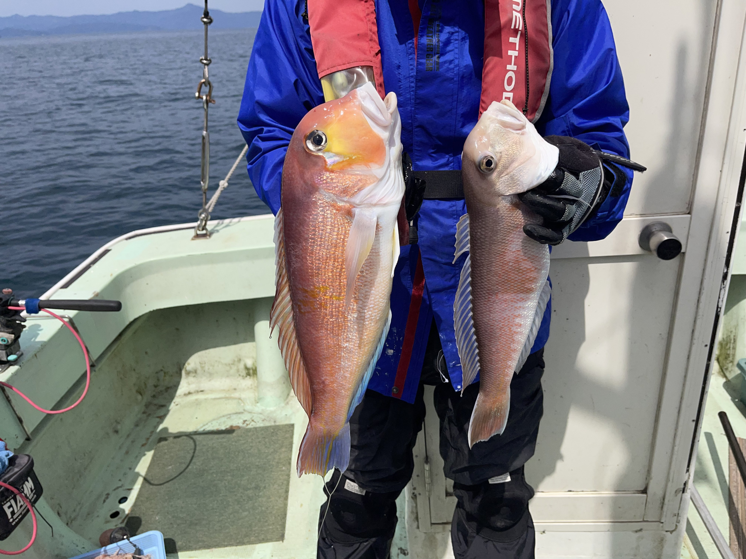 根魚釣り
