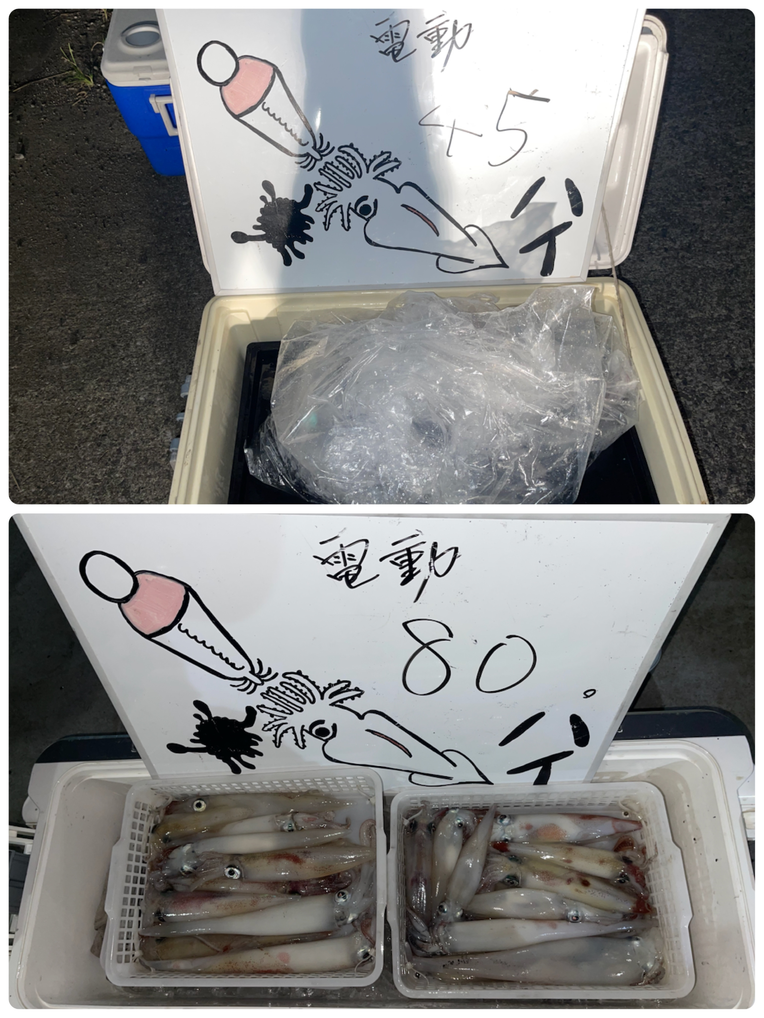 jun】イカ釣り用マグナム8本 4589486838438.jpg