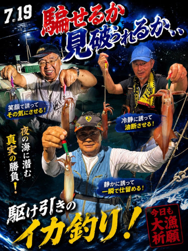 7/19ケンサキイカ🦑