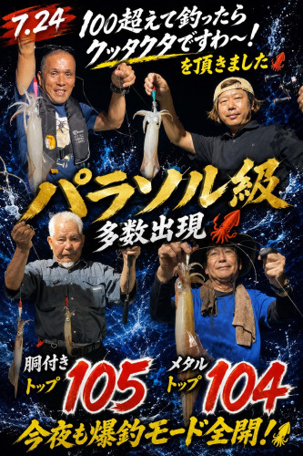 7/23ケンサキイカ🦑