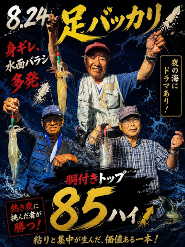8/24ケンサキイカ🦑