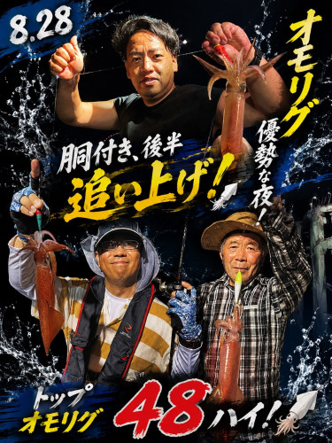 8/28ケンサキイカ🦑