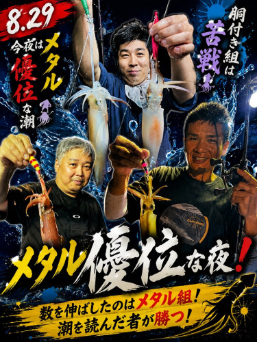 8/29ケンサキイカ🦑