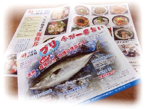 ちらしの例です。