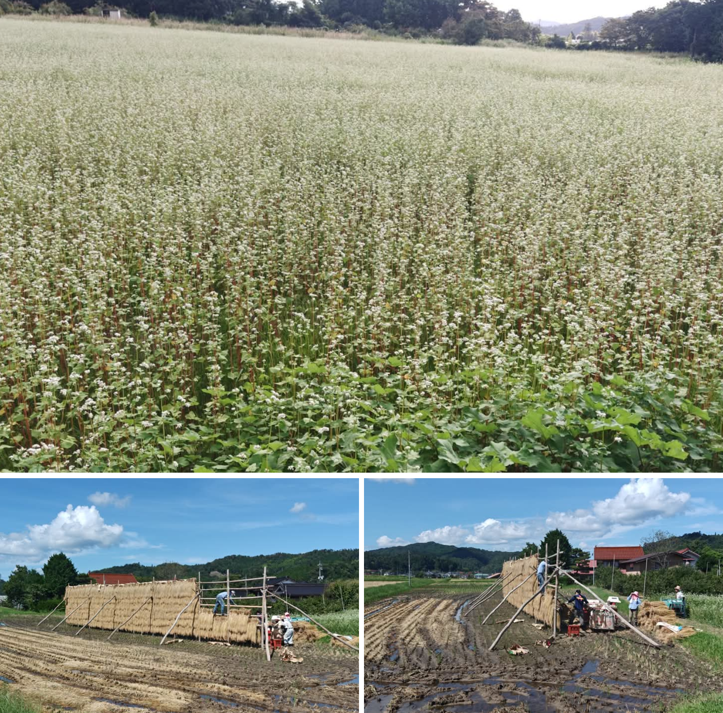 『　本日放送予定！　』島根県限定ですが…
