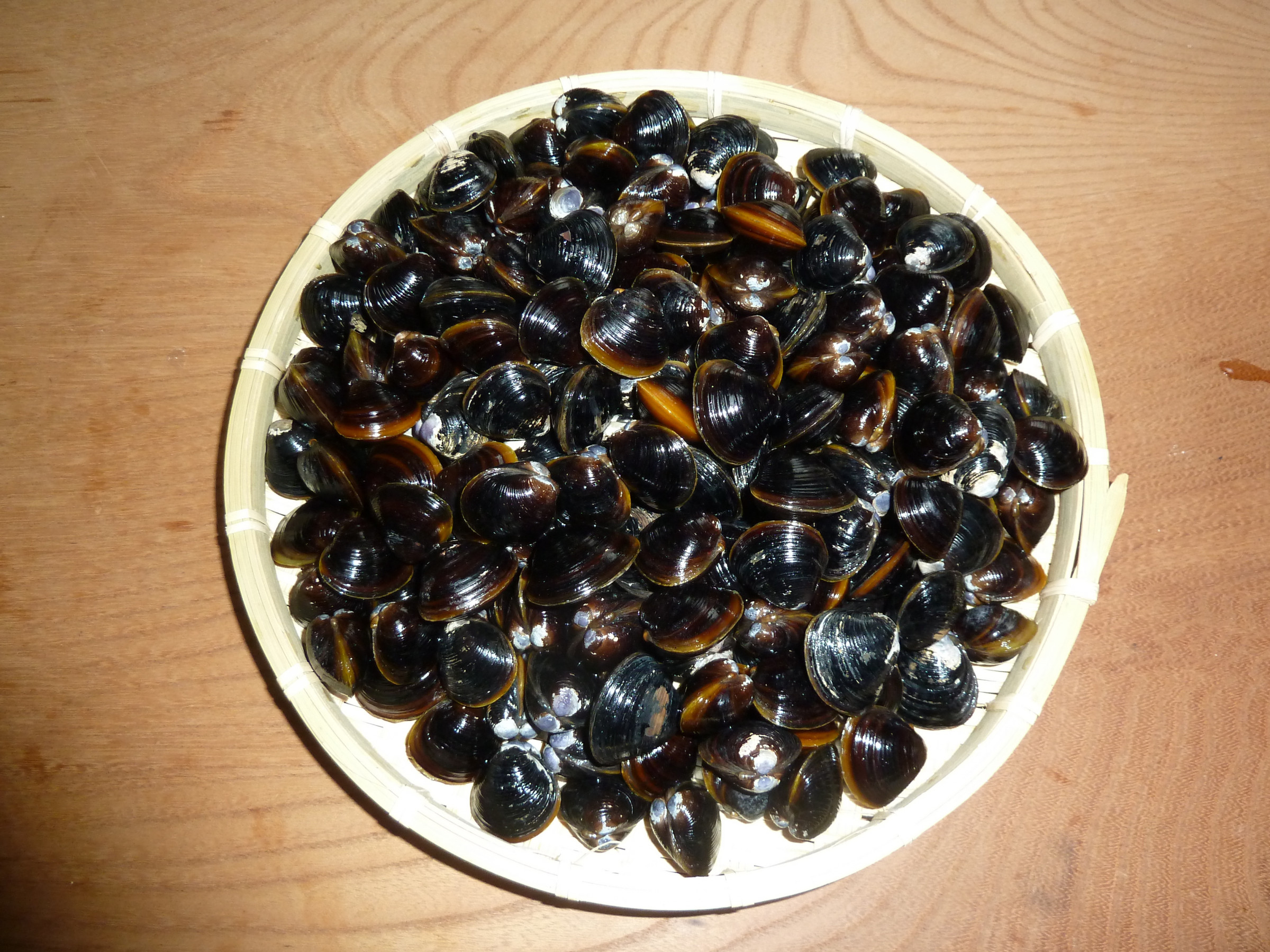 郷土の味 焼き鯖 通販 店頭販売 雲南 石田魚店