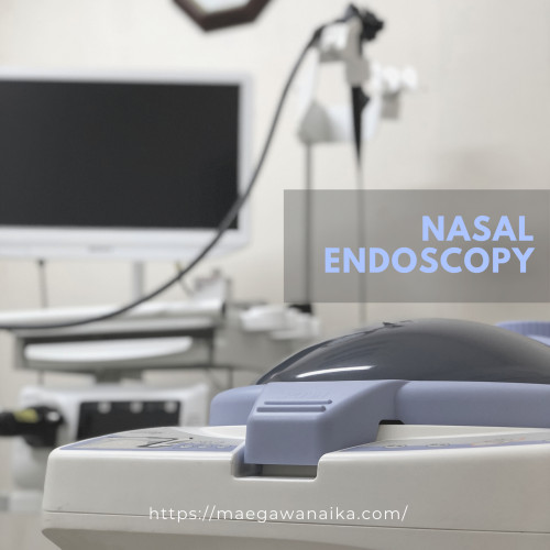 Endoscopy Noseのコピー.png