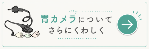 胃カメラ検査の詳しい説明