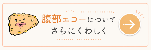 腹部エコーについてさらにくわしく