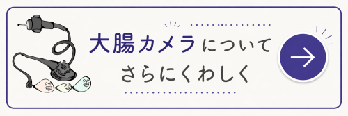 大腸カメラ検査の詳しい説明